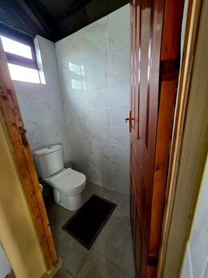 Un baño pequeño con inodoro, ducha y puerta de madera.