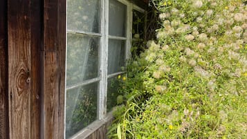 A rustic wooden building with a window partially covered by a mesh screen and overgrown vegetation.