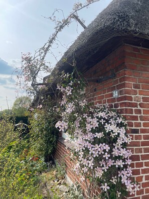 A brick building with a thatched roof, a number '34' sign, and flowering vines.