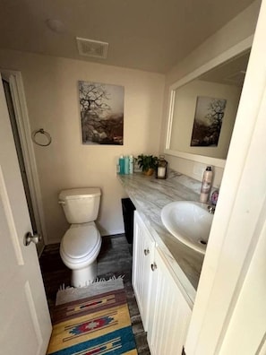 A bathroom with a toilet, a sink, a mirror, and a rug. - Scenic Mountain Glampground with Dark Sky Stargazing Near Forest Trails in Fruitland, Utah (Fruitland)