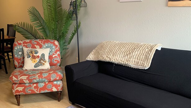 Una sala de estar con un sofá negro, un sillón estampado, un tapete gris y dos cuadros colgados en la pared.