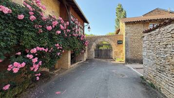 A narrow alleyway with a stone wall on one side and a building with a wooden door on the other.