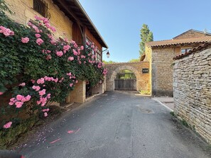 A narrow alleyway with a stone wall on one side and a building with a wooden door on the other.