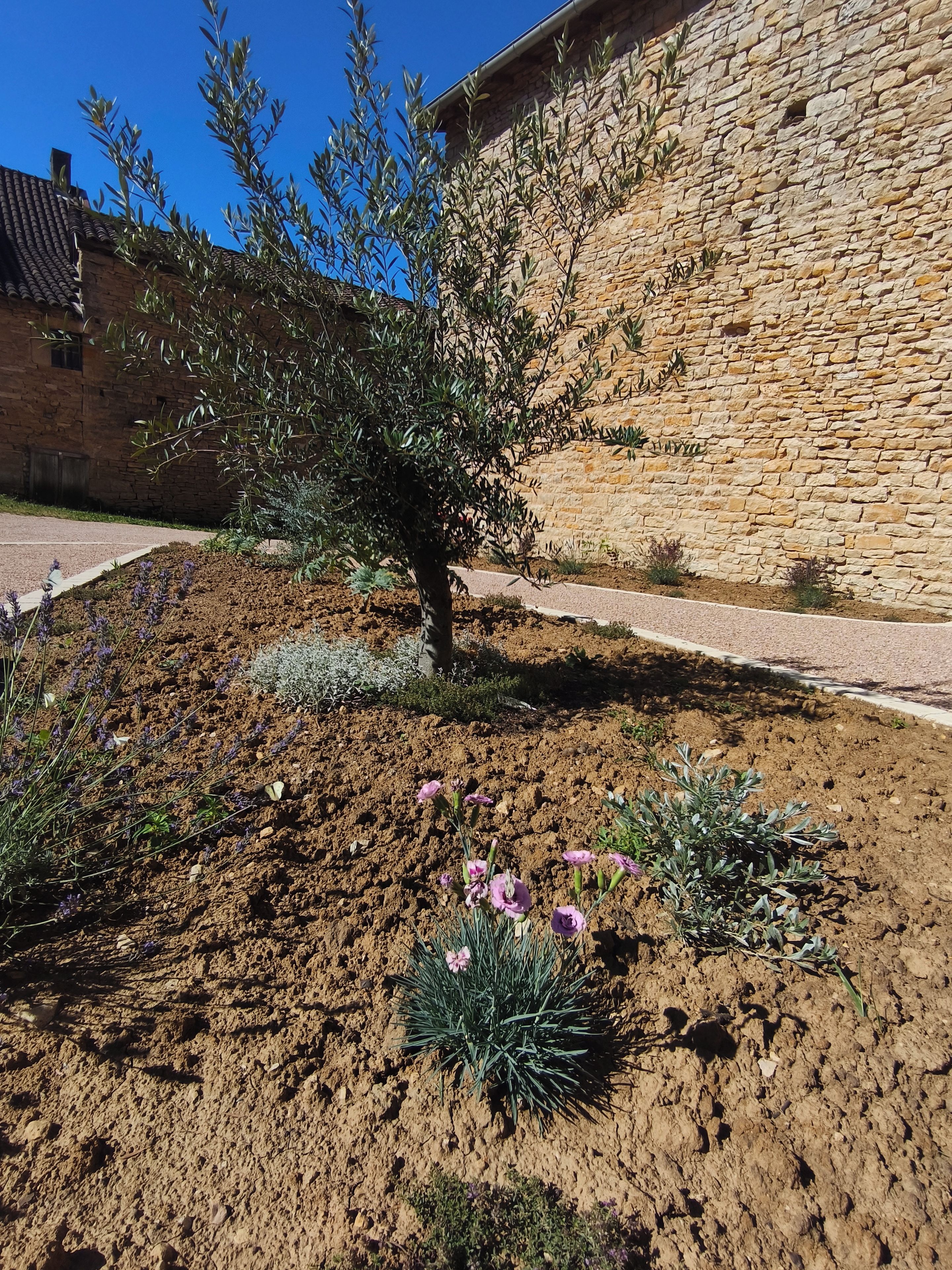 A garden with a tree and flowers, a stone wall, and a building in the background.
