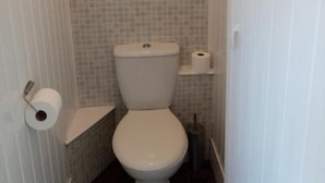 A standard toilet with a toilet paper holder and a bidet spray.
