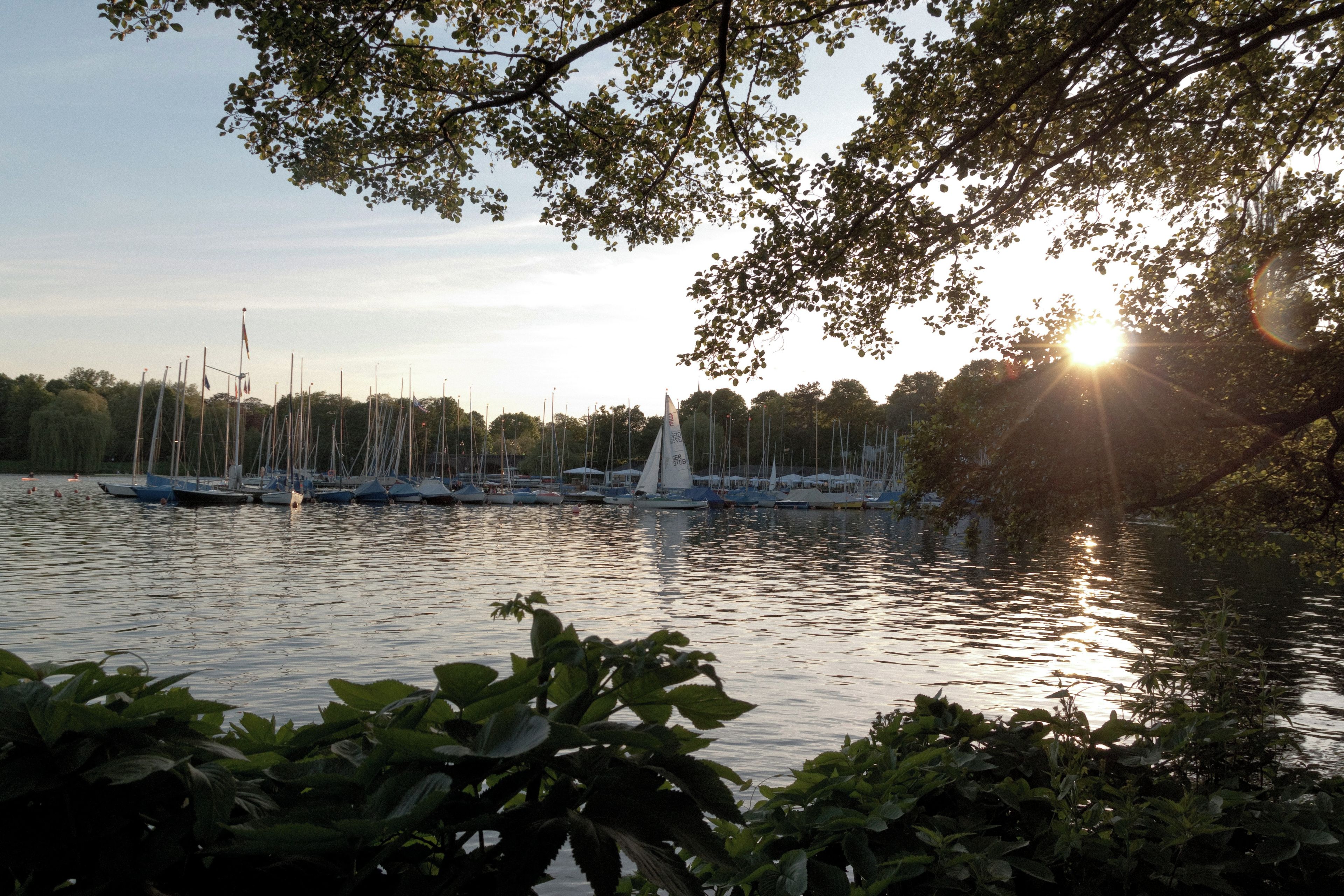 Un port de plaisance où sont amarrés de nombreux voiliers, entouré d’arbres et de verdure.