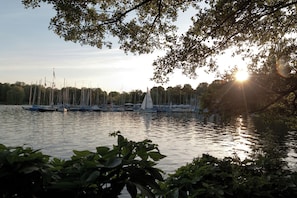 A marina with multiple sailboats docked, surrounded by trees and foliage. - Studio Suite Hamburg (Hamburg)