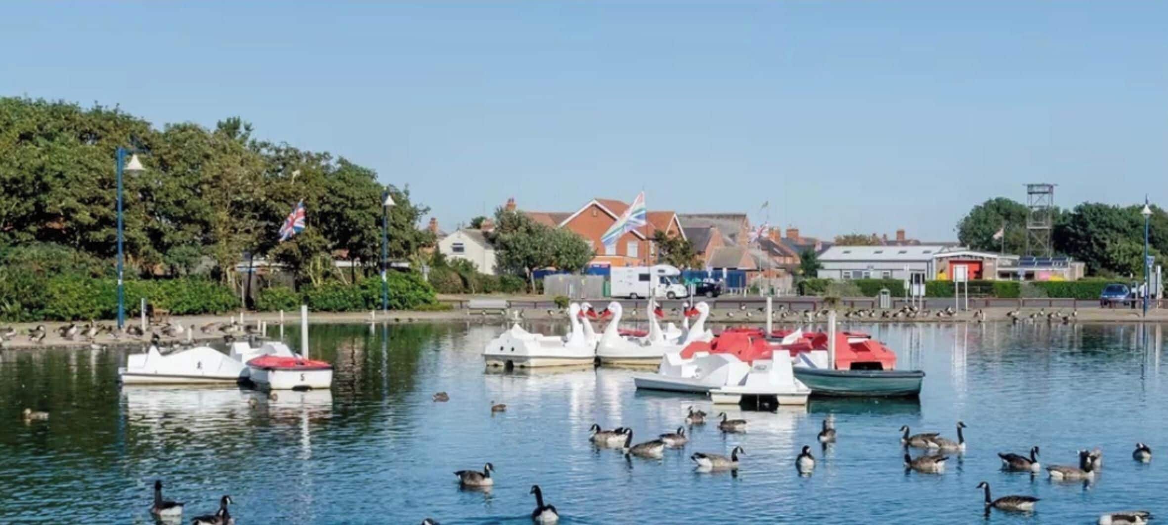 Un puerto deportivo con barcos amarrados, patos nadando y casas al fondo.
