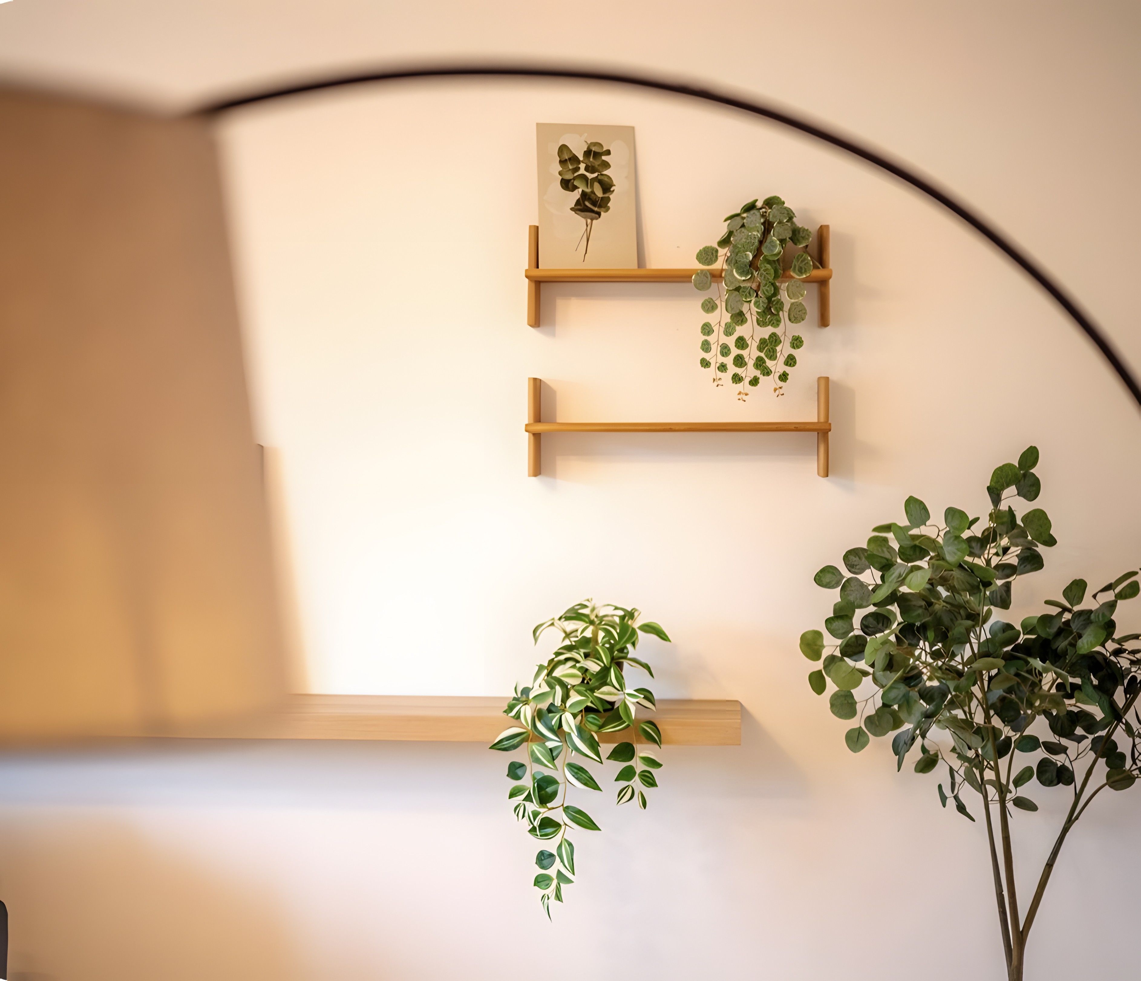 Un mur avec trois étagères en bois, chacune portant une plante.