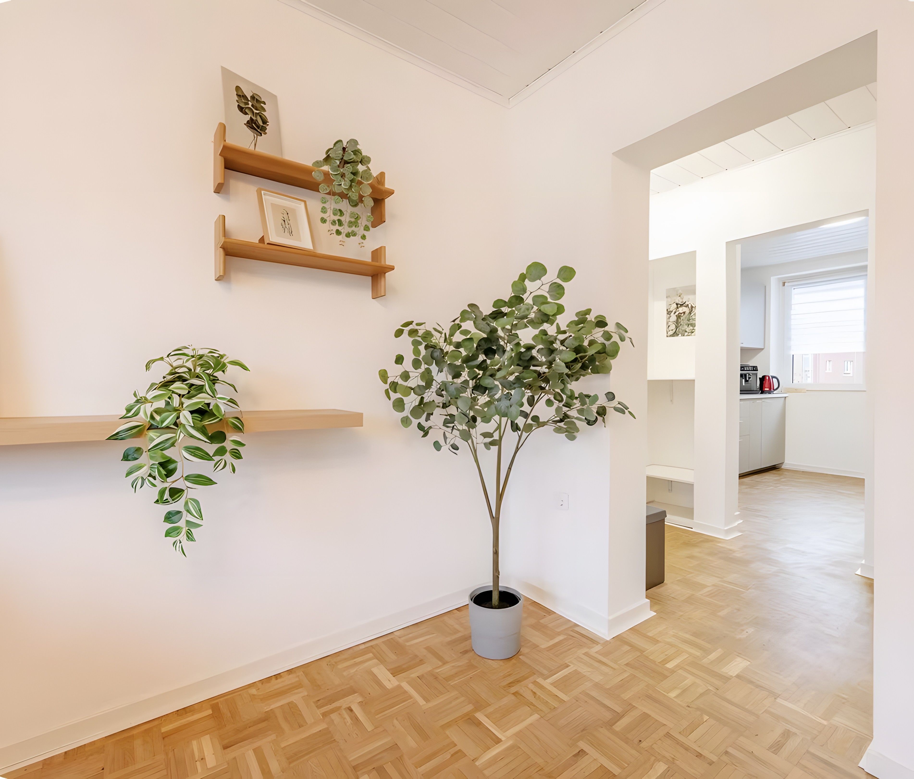 Ein Flur mit Holzboden, weißen Wänden und mehreren Holzböden mit Pflanzen und gerahmten Bildern.