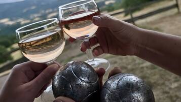 A person holding a wine glass with a clear liquid, another glass with a red liquid, and a third glass with a clear liquid, with a scenic view in the background.