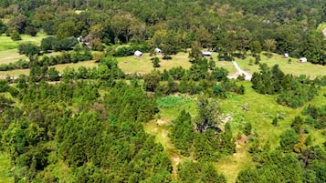 Een landelijk landschap met verspreide huizen en dicht bos.