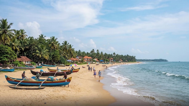 Una playa con barcos, palmeras y cabañas.