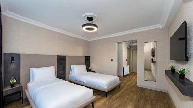 Habitación de hotel con dos camas, una lámpara de techo, un espejo, un televisor y una planta pequeña.