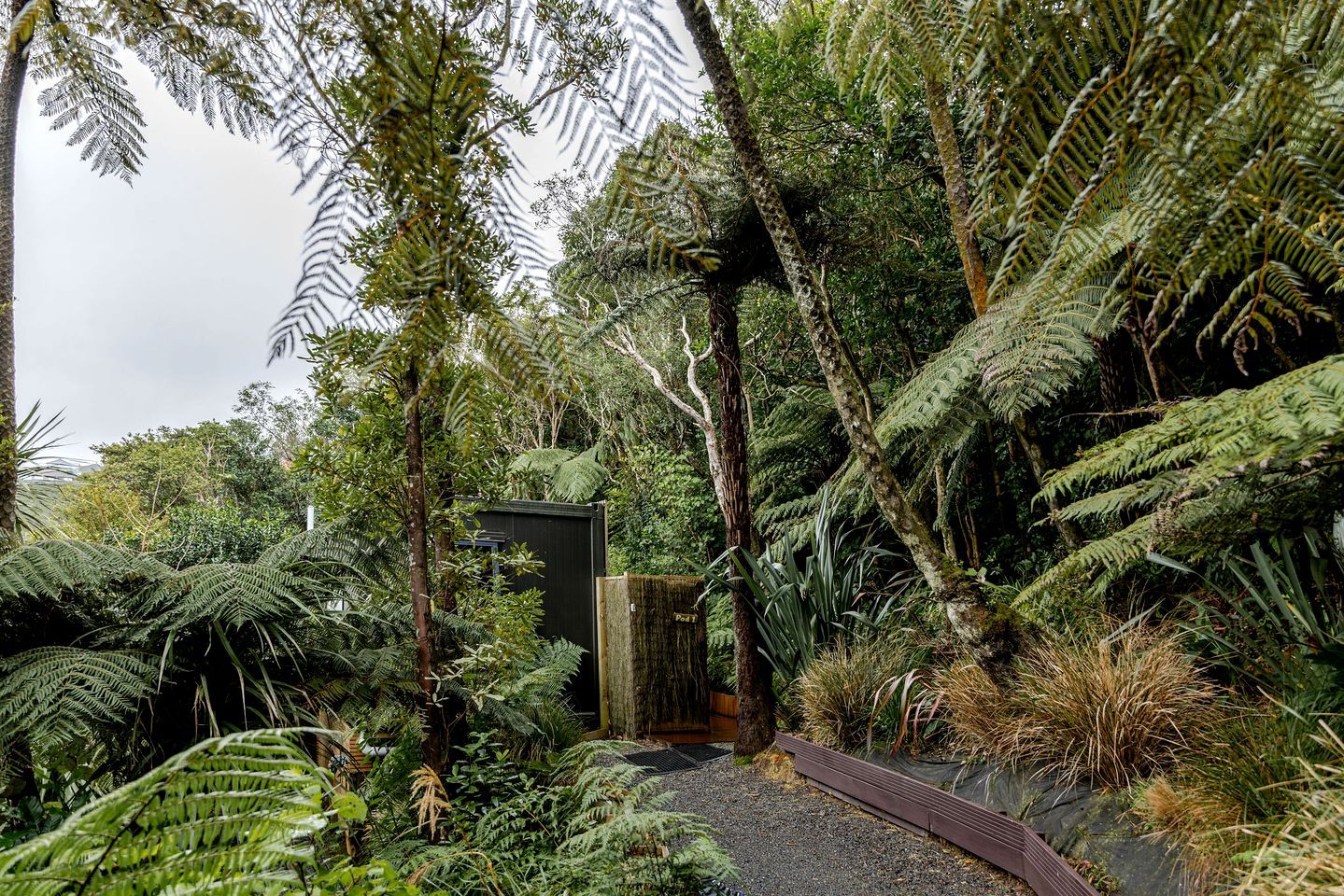A lush garden with ferns and a small wooden structure labeled 'Pool 1'.