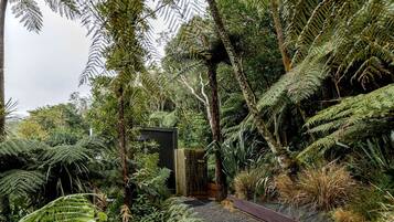 A lush garden with ferns and a small wooden structure labeled 'Pool 1'.