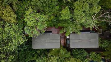 A top-down view of a building surrounded by dense foliage.