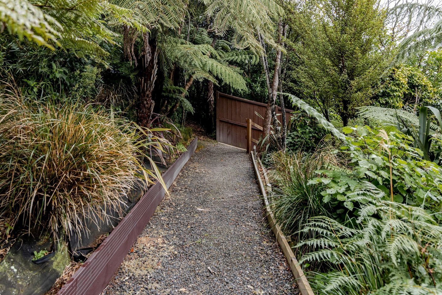 A gravel path leading to a wooden gate, surrounded by dense greenery and ferns.