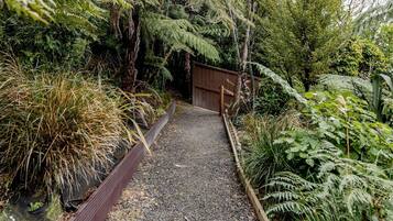 A gravel path leading to a wooden gate, surrounded by dense greenery and ferns.