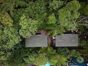 A top-down view of a building surrounded by dense foliage.