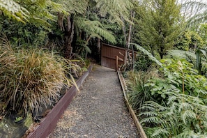 A gravel path leading to a wooden gate, surrounded by dense greenery and ferns.