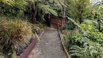A gravel path leading to a wooden gate, surrounded by dense greenery and ferns.