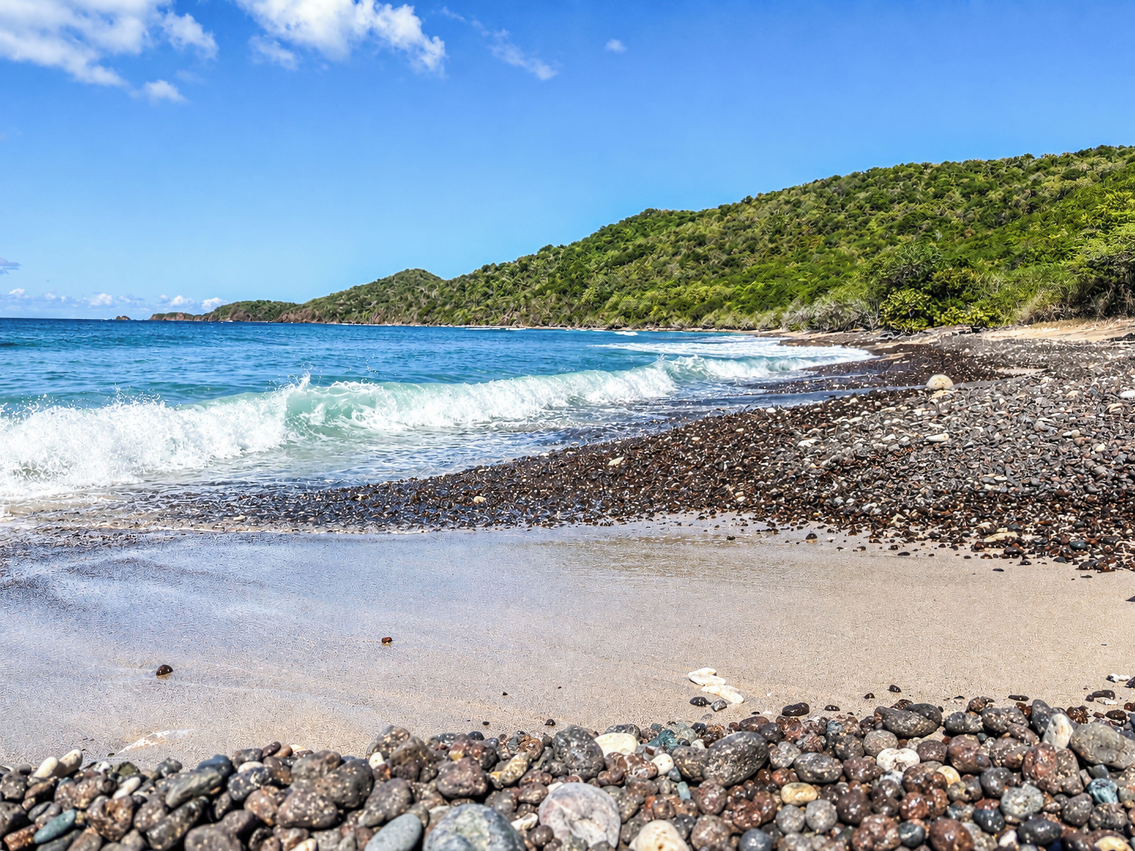 A beach with pebbles and waves, a clear sky, and a forested hill in the background.