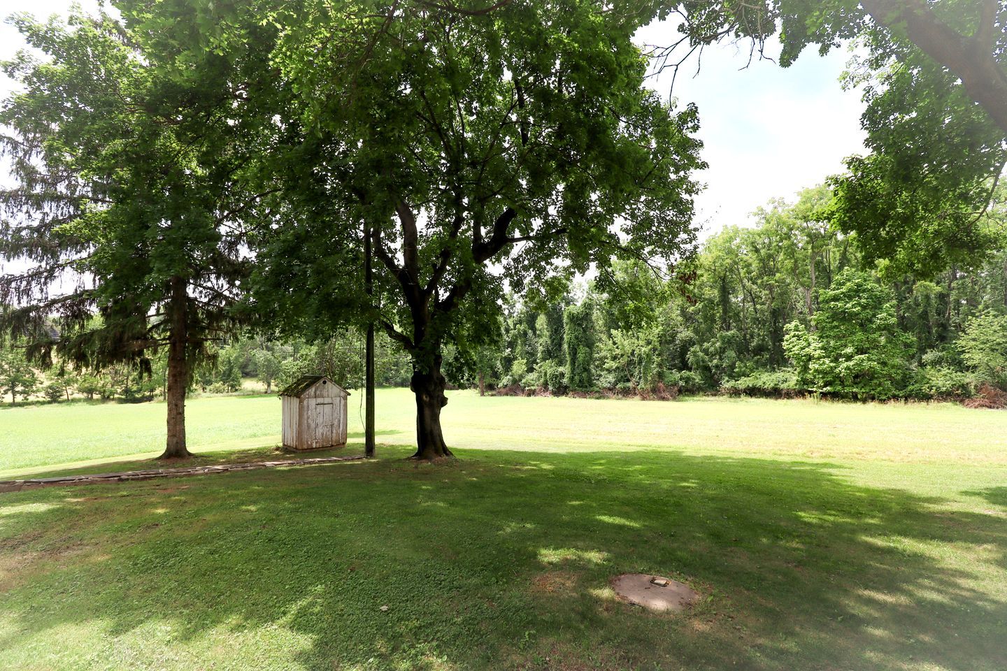 A grassy area with trees and a small wooden structure.
