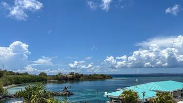 A coastal view with a clear sky, a swimming pool, and lush greenery.