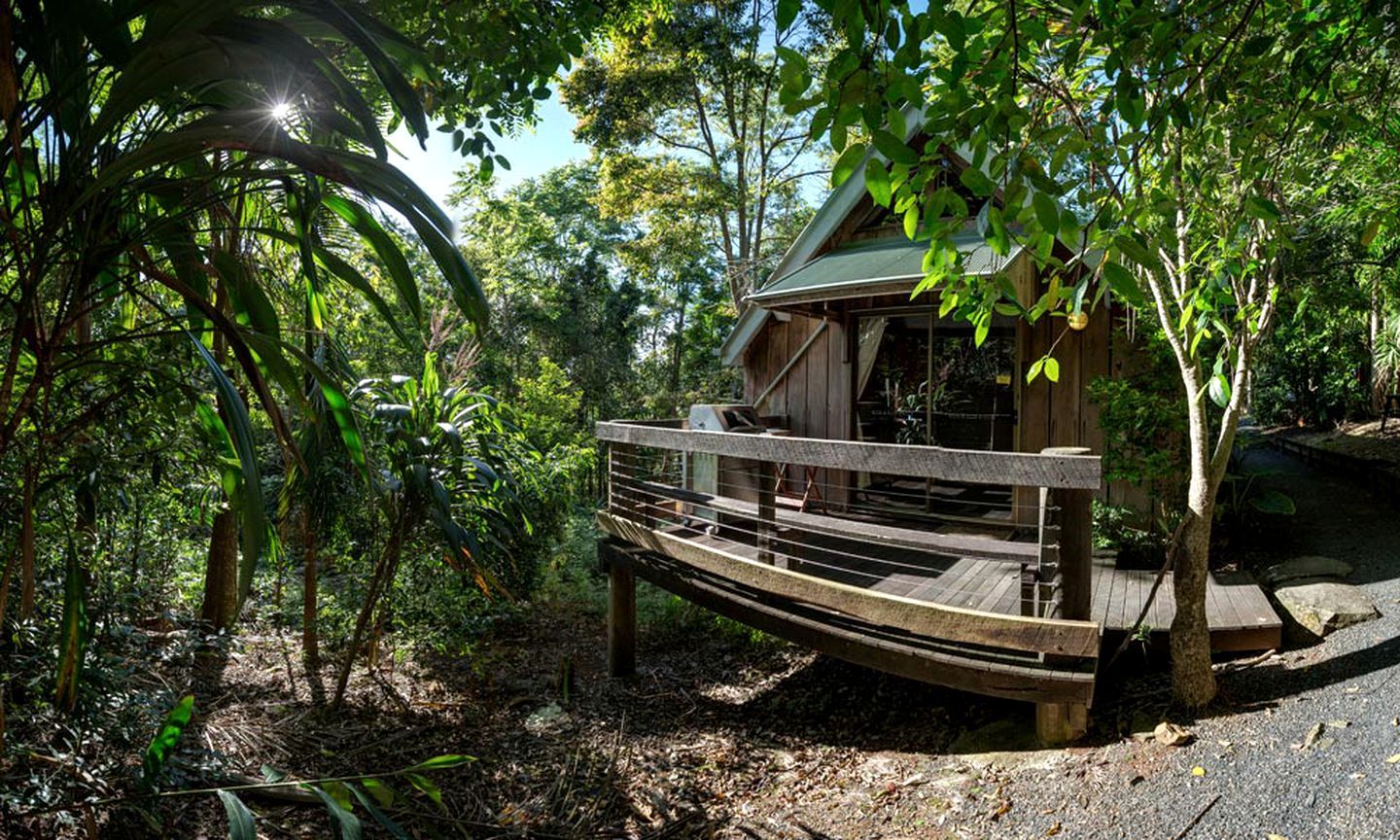 Une cabane en bois dotée d’une terrasse, entourée d’une végétation luxuriante.