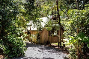 A wooden structure surrounded by dense foliage, with a gravel path leading to it.
