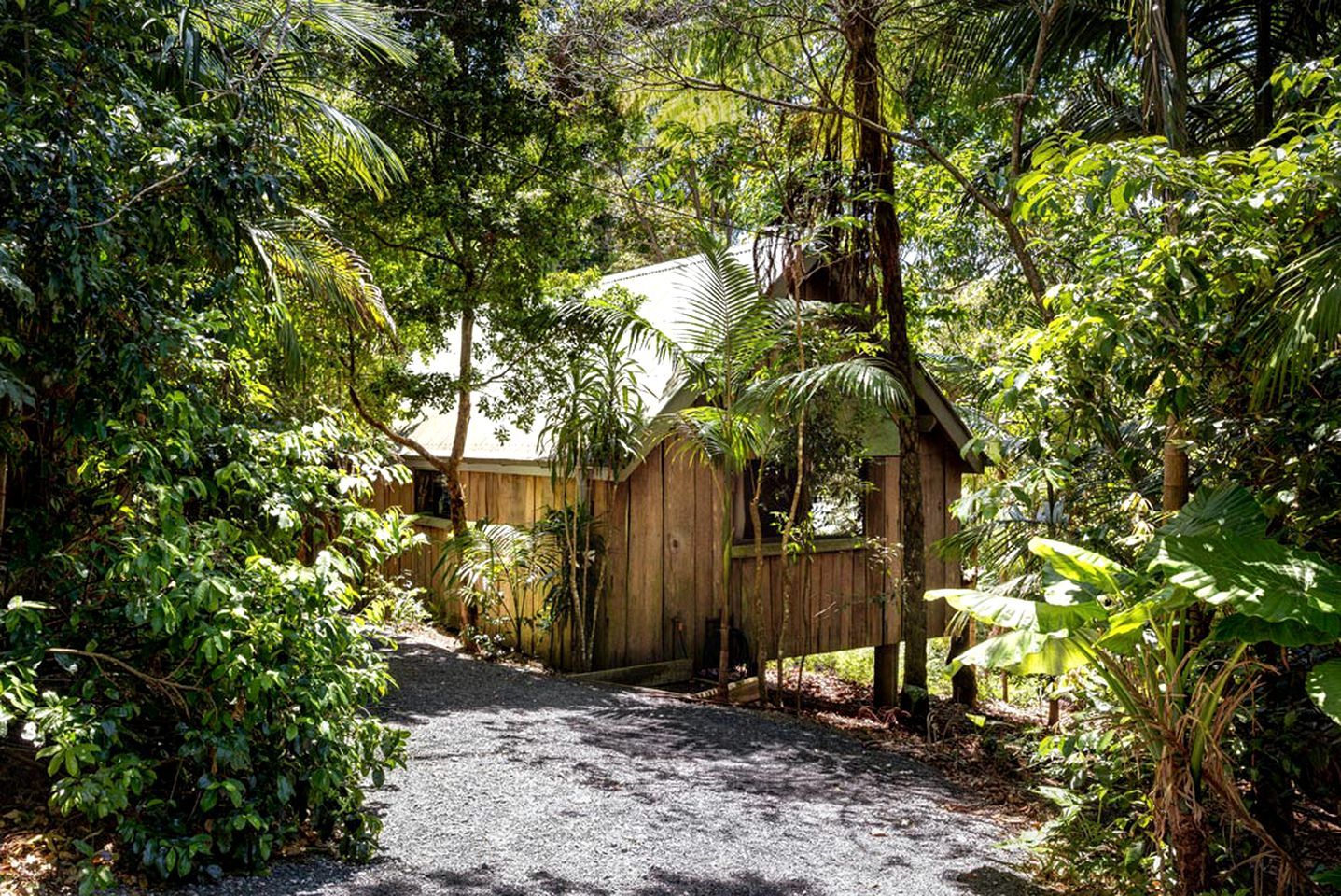 A wooden structure surrounded by dense foliage, with a gravel path leading to it.