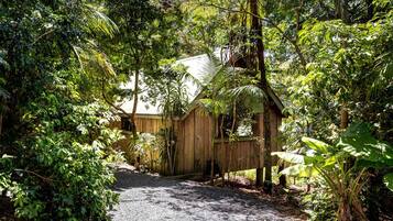 A wooden structure surrounded by dense foliage, with a gravel path leading to it.