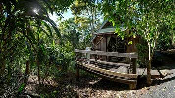 A wooden cabin with a deck, surrounded by dense foliage.