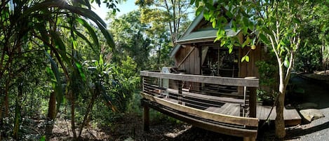 A wooden cabin with a deck, surrounded by dense foliage.