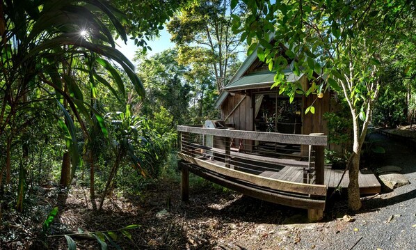 A wooden cabin with a deck, surrounded by dense foliage.