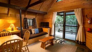 TV, fireplace, DVD player