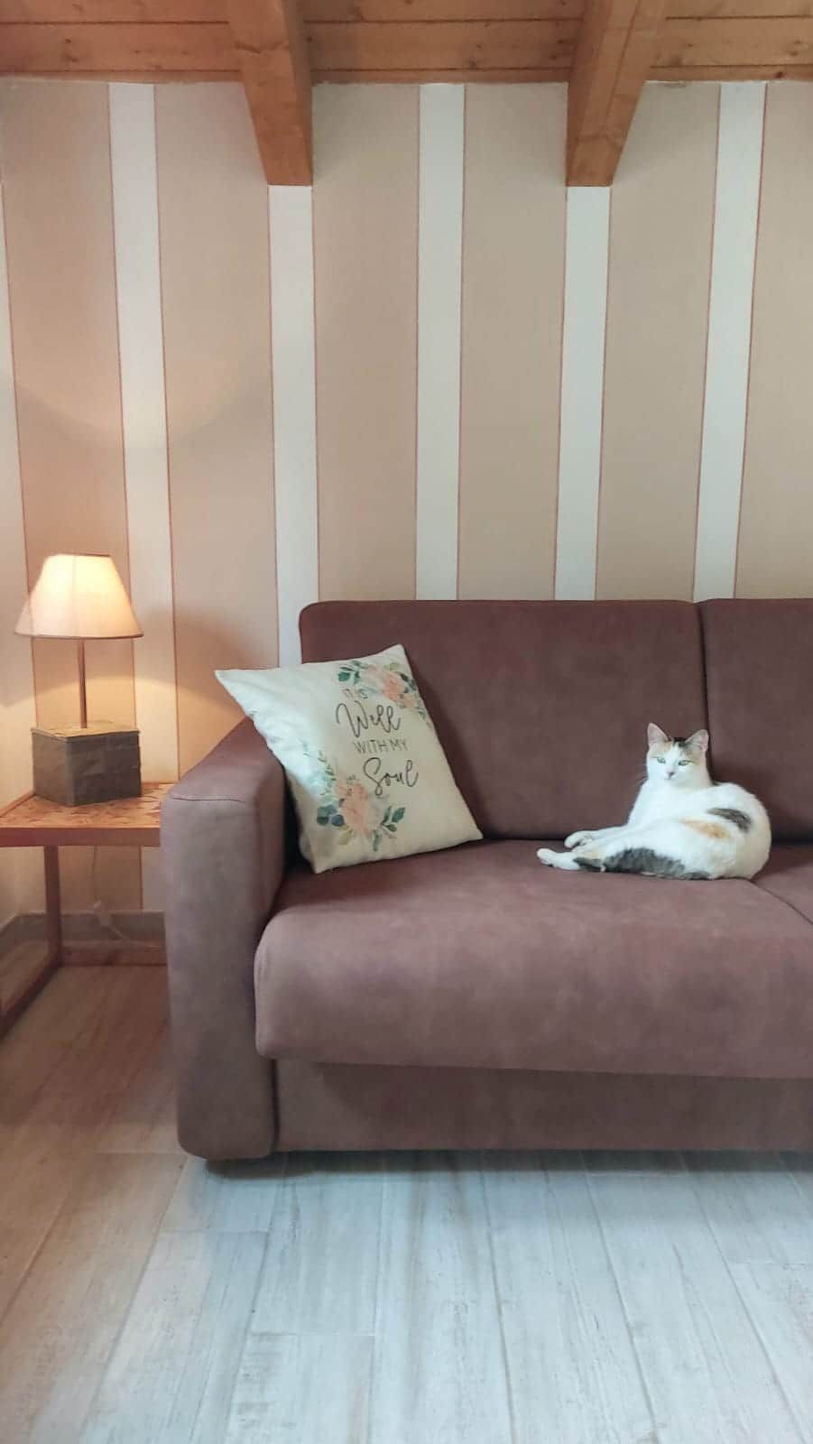 Un divano marrone con un gatto sdraiato sopra, una lampada su un tavolino e una parete con listelli di legno verticali.