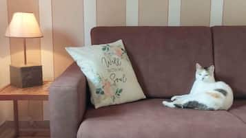 Un divano marrone con un gatto sdraiato sopra, una lampada su un tavolino e una parete con listelli di legno verticali.