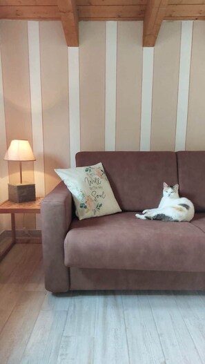A brown sofa with a cat lying on it, a lamp on a side table, and a wall with vertical wooden slats. - defaultName (Varese Ligure)