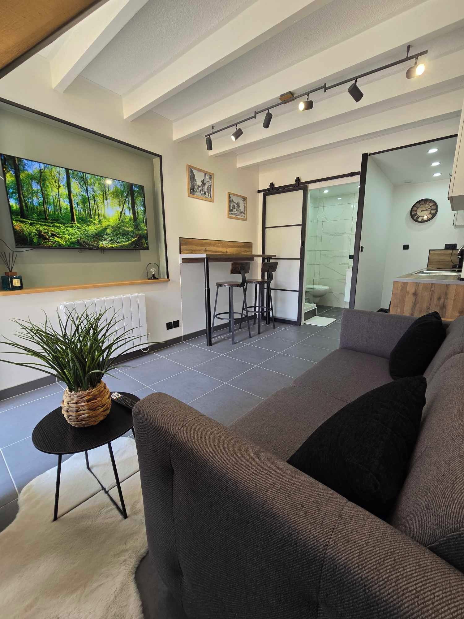 Een moderne woonkamer met een grote flatscreen televisie, een bank, een kleine tafel met een plant en een keuken met een schuifdeur.