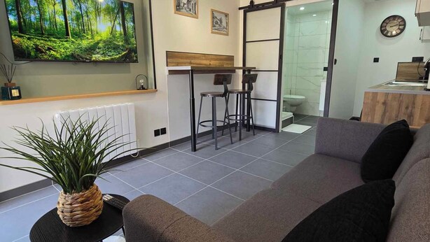 Een moderne woonkamer met een grote flatscreen televisie, een bank, een kleine tafel met een plant en een keuken met een schuifdeur.