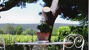 Una mesa de jardín con una planta en maceta y flores, rodeada de follaje y vistas al paisaje.