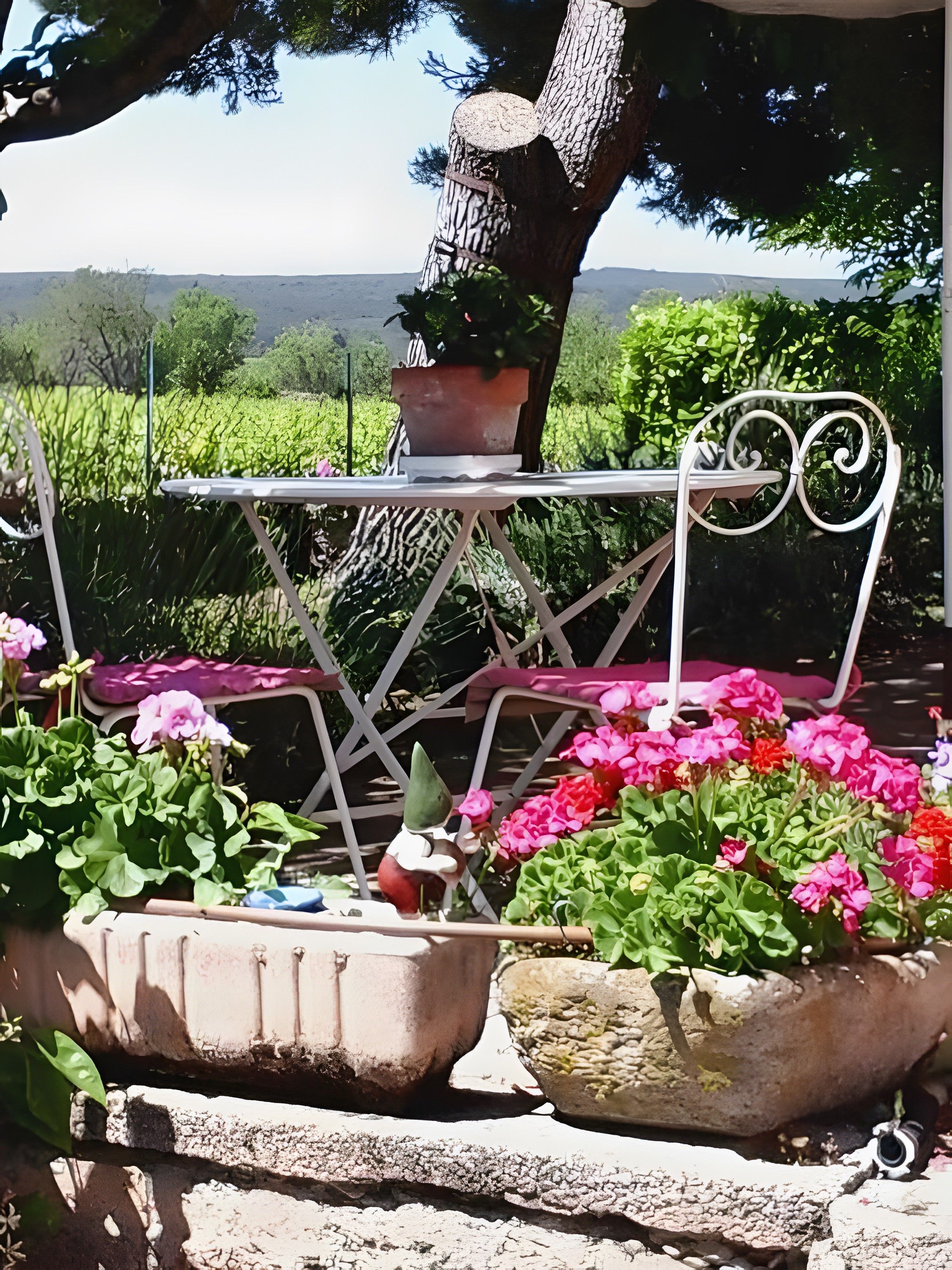 Ein Gartentisch mit einem Topfpflanze und Blumen, umgeben von viel Grün und Blick auf die Landschaft.
