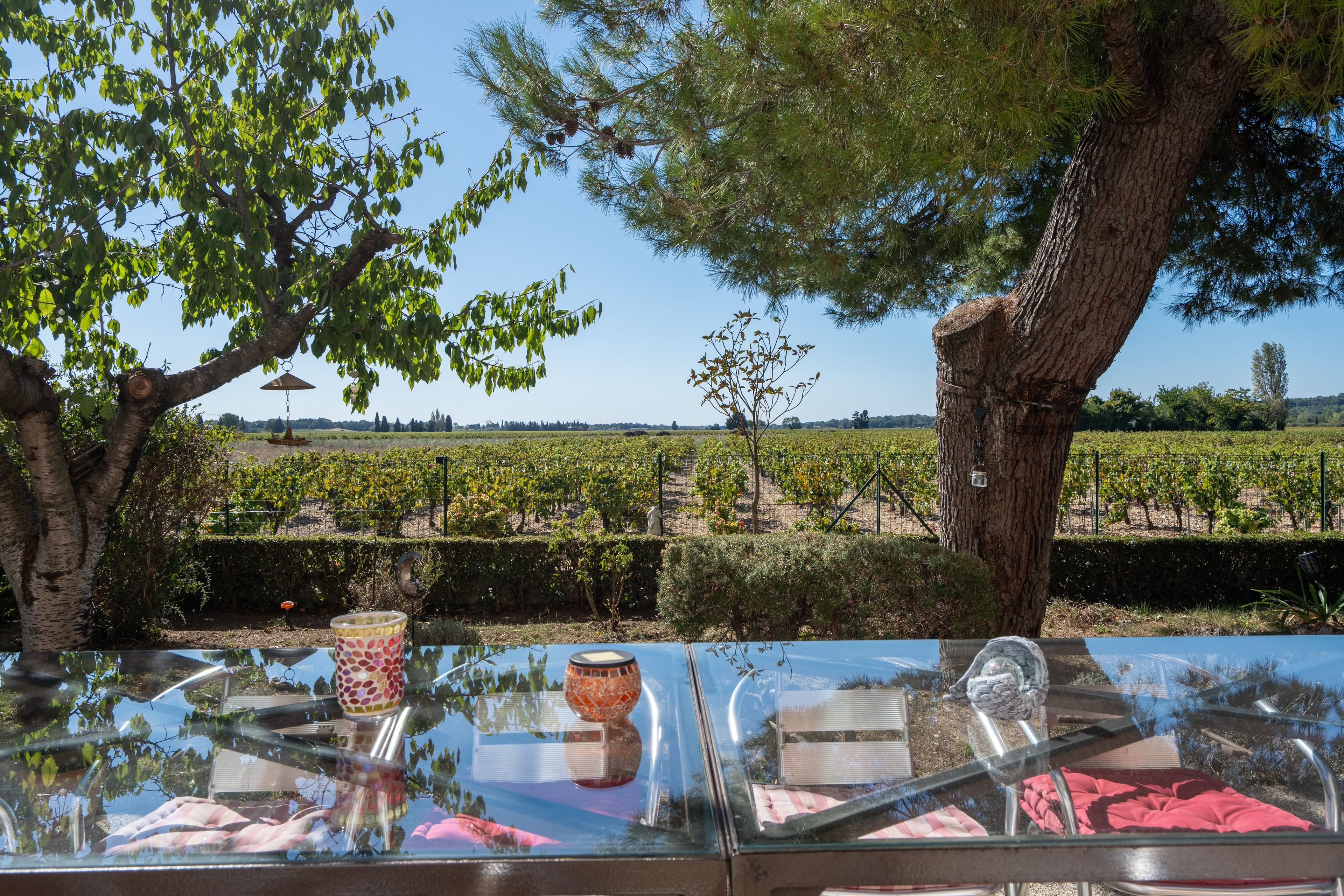 Una mesa con superficie de vidrio que refleja el paisaje circundante del viñedo.