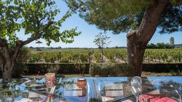 Una mesa con superficie de vidrio que refleja el paisaje circundante del viñedo.