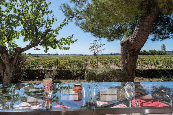 A table with a glass top reflecting the surrounding vineyard landscape.