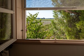 A window with a view of a landscape including trees and a field.