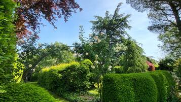Un jardin avec des haies bien entretenues, une variété d’arbres et un ciel bleu dégagé.