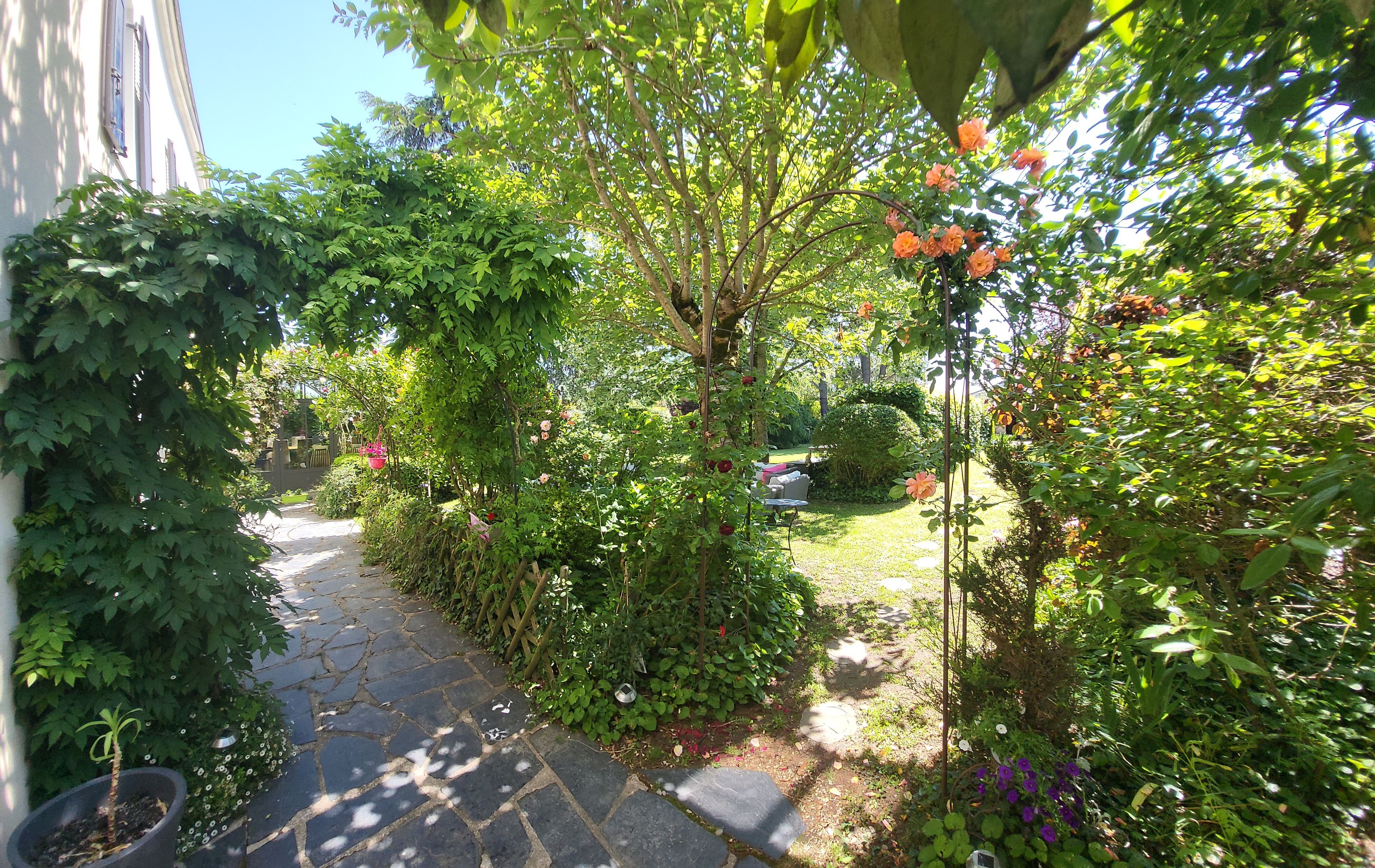 A garden pathway with a variety of plants and flowers, leading to a grassy area.